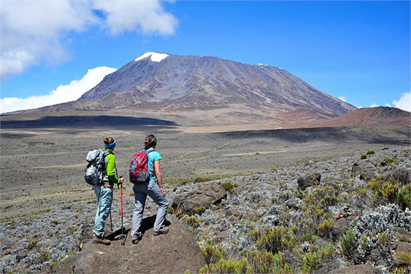 tanzania safaris