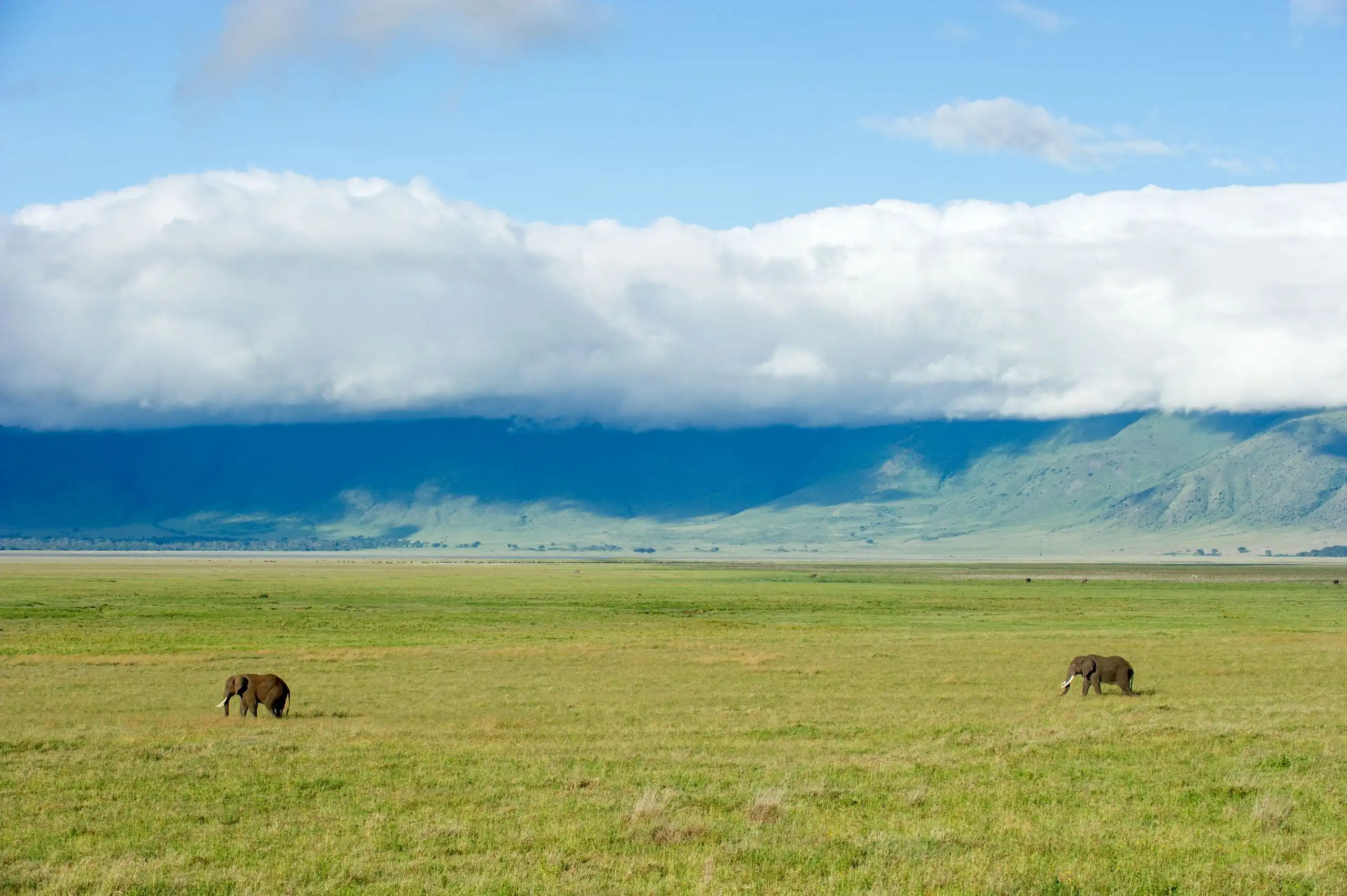 tanzania safaris